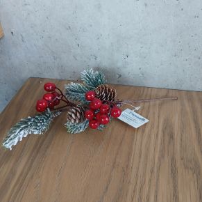 Havas fenyőág kicsi