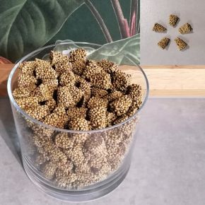 Hosszú hatású műtrágya OSMOCOTE EXACT DARABOS      