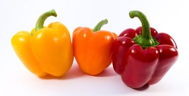 Paprika palánta CAPSICUM ANNUUM PALÁNTA CS10,5