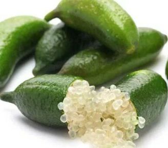 Ausztrál lime  CITRUS LIMONE CAVIALE BIANCO T1/4 70/80CM K5