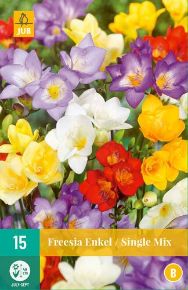 Virághagyma Frézia FREESIA ENKEL/SINGLE MIX 15DB/CSOMAG JUB 112870
