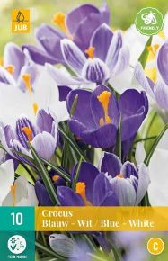 Krókusz VIRÁGHAGYMA CROCUS BLUE WHITE MIX 10DB/CSOMAG JUB 307300