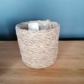 Dekoráció FŰ KASPÓ 13CM