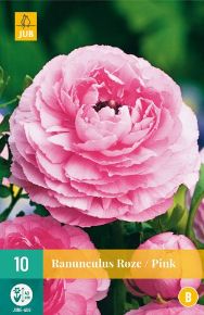 Boglárka gumó VIRÁGHAGYMA RANUNCULUS PINK 10DB/CSOMAG JUB 114650