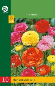 Boglárka VIRÁGHAGYMA RANUNCULUS MIX 10DB/CSOMAG JUB 151045