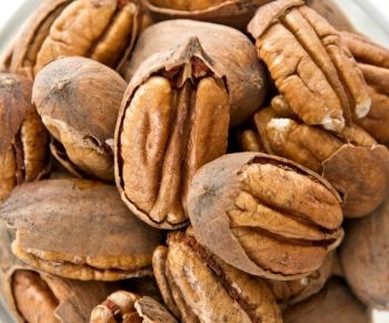 Pekándió  CARYA ILLINOIN CHOCTAW 110/120 K3