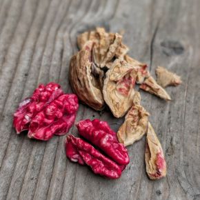 Piros bélű dió  JUGLANS REGIA RED PHANTOM 175/200 K10