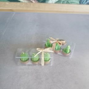 Gyertya KAKTUSZ GYERTYA 3DB DOBOZBAN