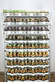 Hagymás mix  HAGYMÁS MIX BEÜLTETÉS CS12