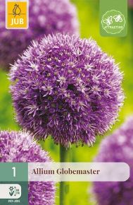 Díszhagyma VIRÁGHAGYMA ALLIUM GLOBEMASTER 1DB/CSOMAG JUB 308090
