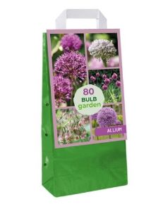 Díszhagyma VIRÁGHAGYMA ALLIUM GARDEN ALLIUM 80DB/CSOMAG JUB 720073